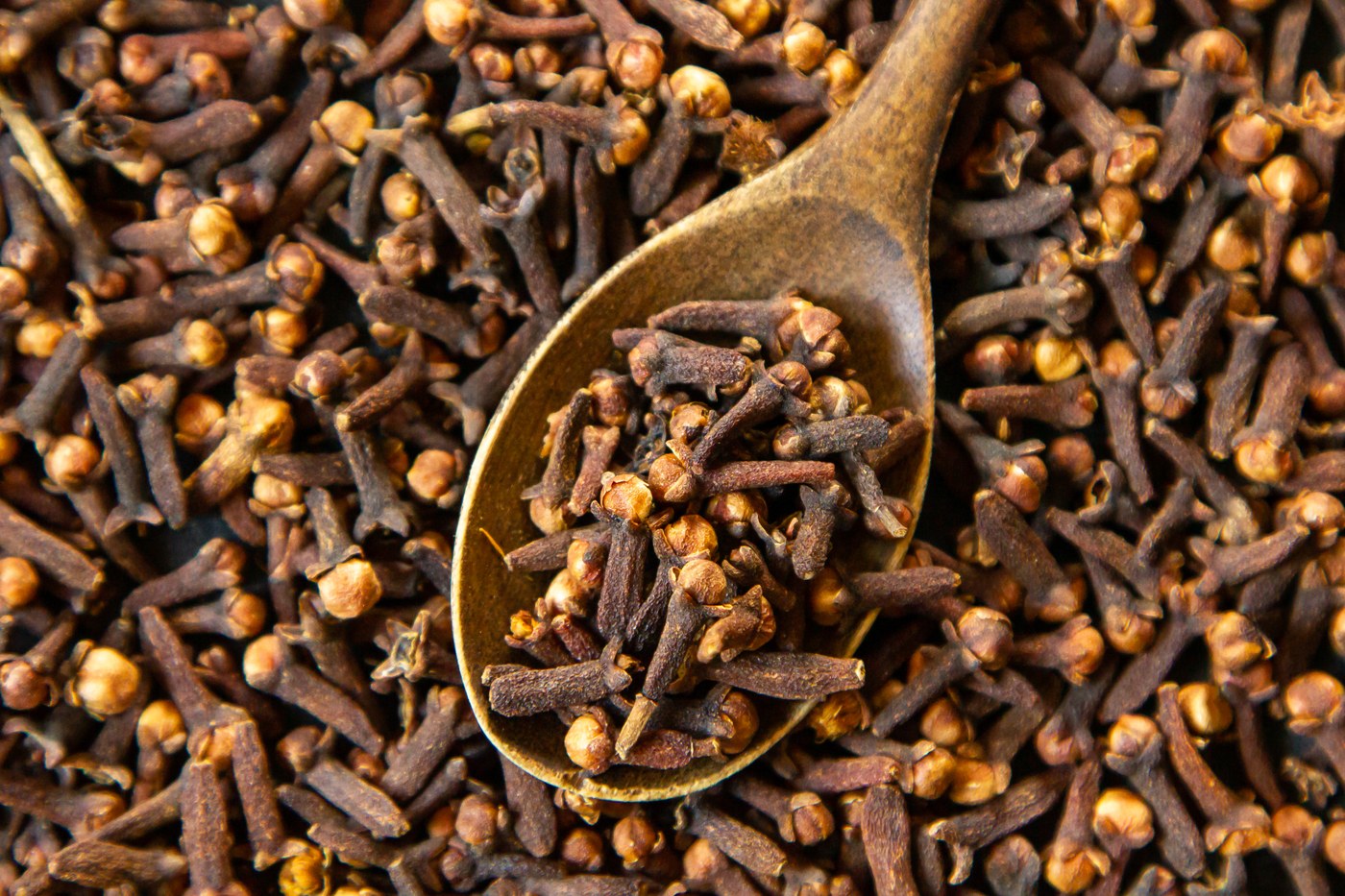 Dried cloves close-up
