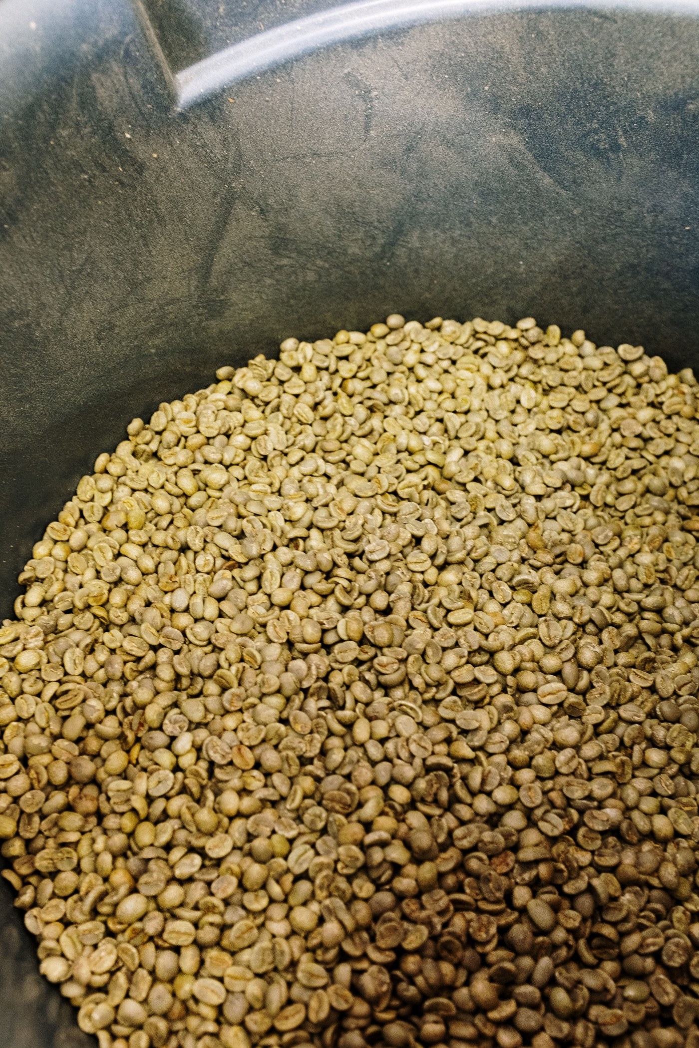 Green coffee beans in bulk